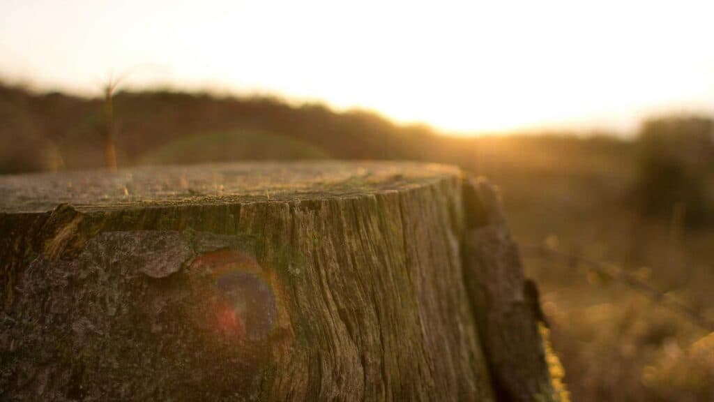 Harga Cabai di Pasar Segiri Samarinda Turun Drastis